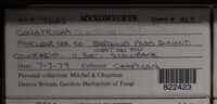 Image Associated With the Occurence